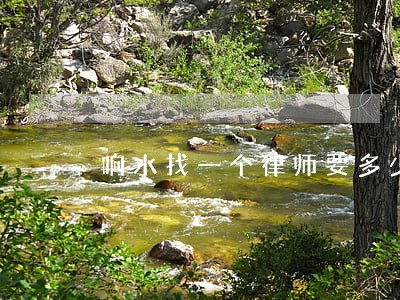 响水找一个律师要多少钱 响水找一个律师要多少钱