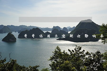 哥哥信用卡逾期会影响弟弟政审吗 哥哥信用卡逾期会影响弟弟政审吗