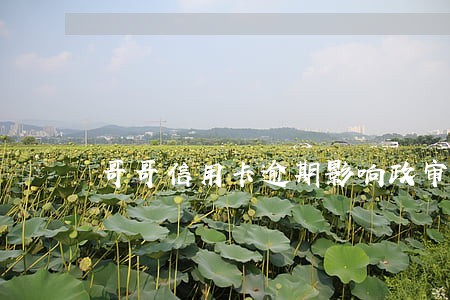 哥哥信用卡逾期影响政审吗 哥哥信用卡逾期影响政审吗