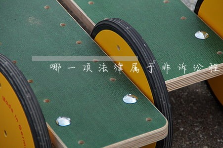 哪一项法律属于非诉讼程序法 哪一项法律属于非诉讼程序法