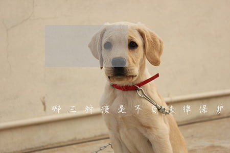 哪三种债是不受法律保护的呢 哪三种债是不受法律保护的呢