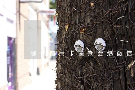 哪个信用卡逾期会爆微信通讯 哪个信用卡逾期会爆微信通讯