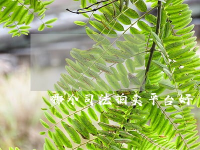 哪个司法拍卖平台好 哪个司法拍卖平台好