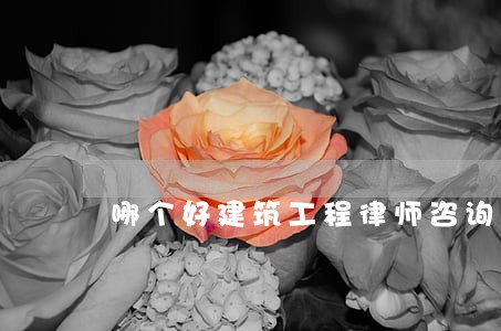 哪个好建筑工程律师咨询 哪个好建筑工程律师咨询