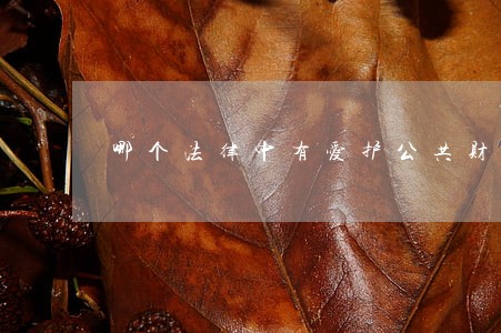 哪个法律中有爱护公共财物的规定