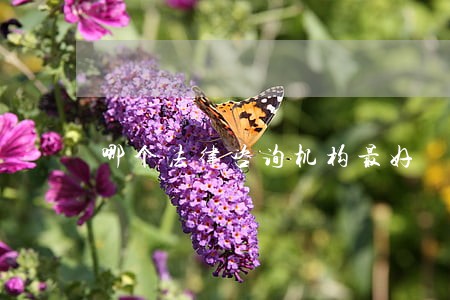 哪个法律咨询机构最好 哪个法律咨询机构最好