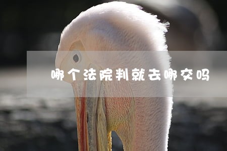 哪个法院判就去哪交吗 哪个法院判就去哪交吗