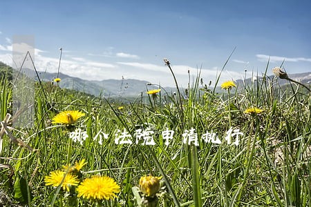 哪个法院申请执行 哪个法院申请执行