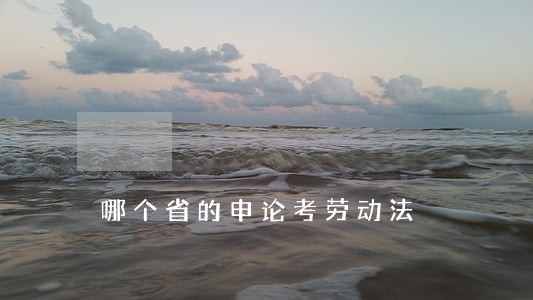 哪个省的申论考劳动法 哪个省的申论考劳动法