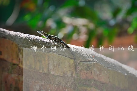 哪个网站看法律新闻比较好 哪个网站看法律新闻比较好