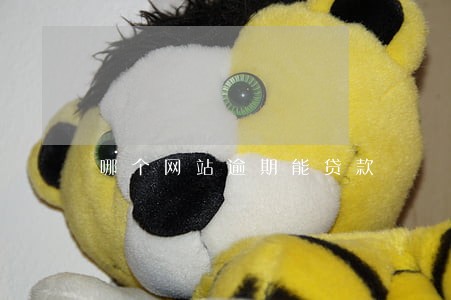 哪个网站逾期能贷款