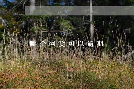 哪个网贷可以逾期 哪个网贷可以逾期
