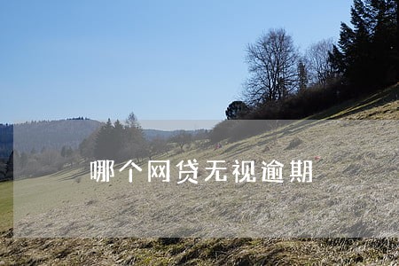 哪个网贷无视逾期 哪个网贷无视逾期