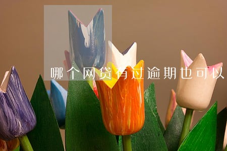 哪个网贷有过逾期也可以贷款 哪个网贷有过逾期也可以贷款