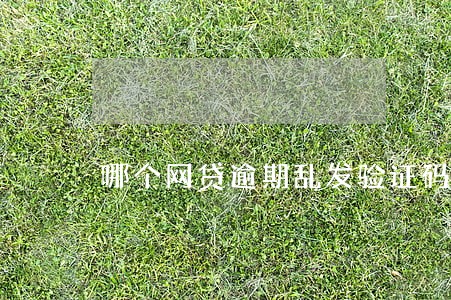 哪个网贷逾期乱发验证码 哪个网贷逾期乱发验证码