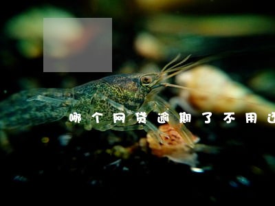 哪个网贷逾期了不用还 哪个网贷逾期了不用还