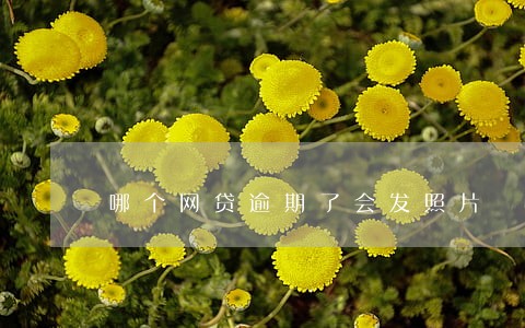 哪个网贷逾期了会发照片 哪个网贷逾期了会发照片