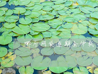 哪个网贷逾期会仲裁 哪个网贷逾期会仲裁