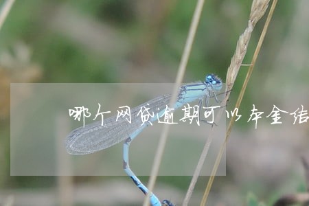 哪个网贷逾期可以本金结清 哪个网贷逾期可以本金结清