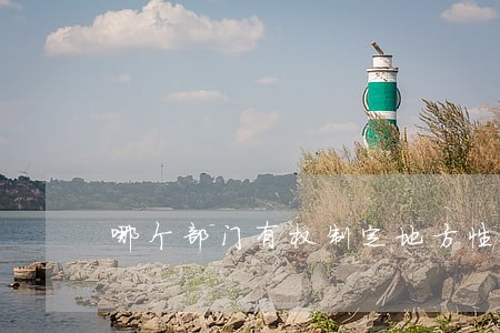 哪个部门有权制定地方性法规 哪个部门有权制定地方性法规