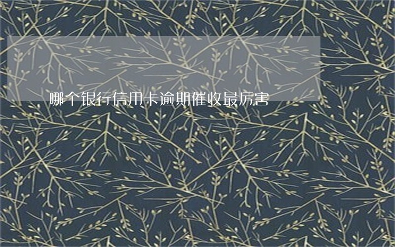 哪个银行信用卡逾期催收最厉害 哪个银行信用卡逾期催收最厉害