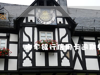 哪个银行信用卡逾期免息 哪个银行信用卡逾期免息