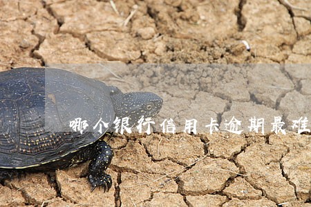 哪个银行信用卡逾期最难协商 哪个银行信用卡逾期最难协商