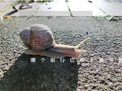 哪个银行信用卡逾期最难搞 哪个银行信用卡逾期最难搞
