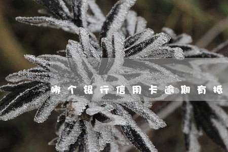 哪个银行信用卡逾期有抵销权 哪个银行信用卡逾期有抵销权