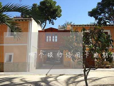 哪个银行信用卡逾期能减免