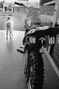 哪个银行的信用卡好通过逾期 哪个银行的信用卡好通过逾期