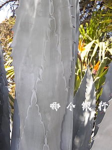 哪个银行的逾期费最高 哪个银行的逾期费最高