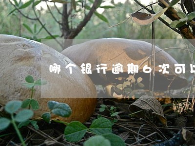 哪个银行逾期6次可以办房贷 哪个银行逾期6次可以办房贷