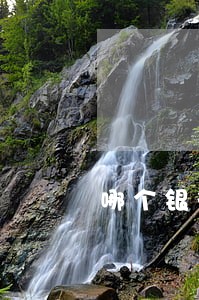 哪个银行逾期后果严重 哪个银行逾期后果严重