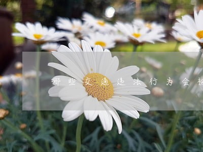 哪些交通违法行为会被扣12分 哪些交通违法行为会被扣12分