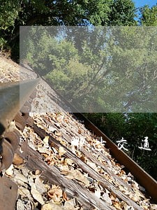哪些交通违法行为市民最厌恶