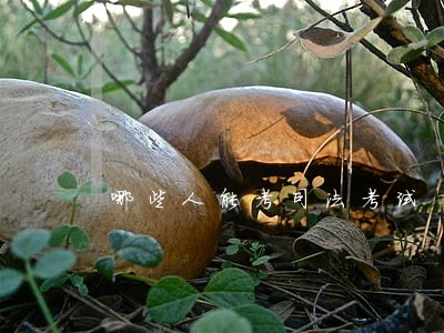 哪些人能考司法考试 哪些人能考司法考试