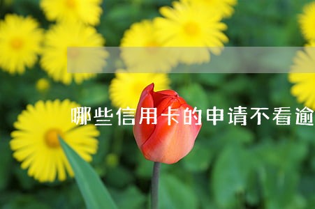 哪些信用卡的申请不看逾期