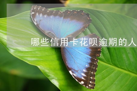 哪些信用卡花呗逾期的人 哪些信用卡花呗逾期的人