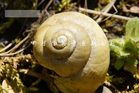 哪些信用卡逾期会起诉 哪些信用卡逾期会起诉