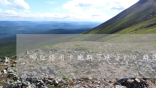 哪些信用卡逾期可以分60期还 哪些信用卡逾期可以分60期还