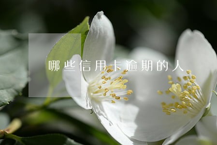 哪些信用卡逾期的人