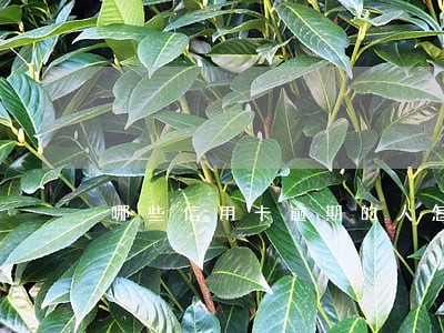 哪些信用卡逾期的人怎么过的 哪些信用卡逾期的人怎么过的