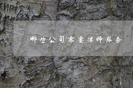 哪些公司需要律师服务 哪些公司需要律师服务
