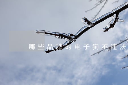 哪些品牌的电子狗不违法