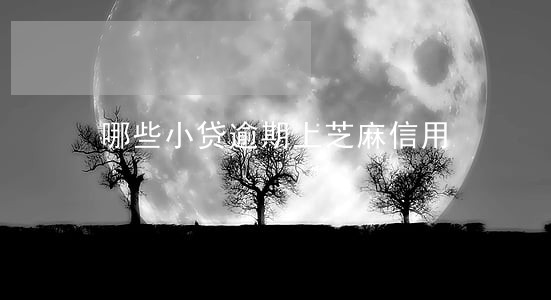 哪些小贷逾期上芝麻信用 哪些小贷逾期上芝麻信用