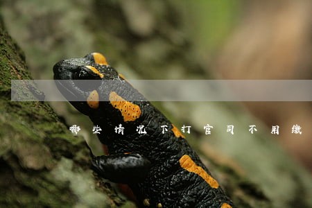 哪些情况下打官司不用缴纳诉讼费