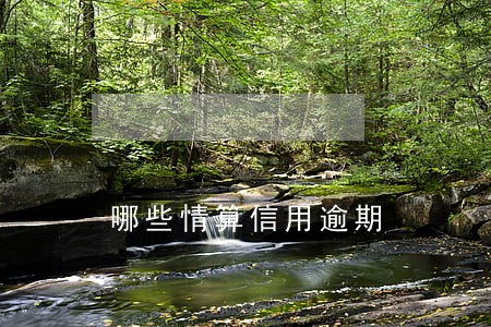 哪些情算信用逾期