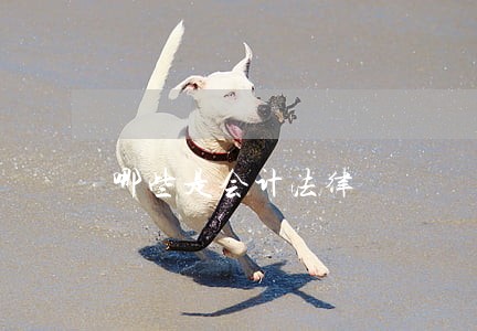 哪些是会计法律