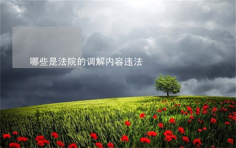 哪些是法院的调解内容违法 哪些是法院的调解内容违法